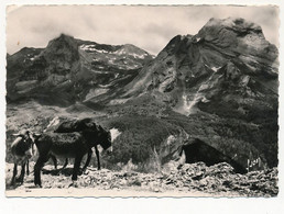 CPSM - COL D'AUBISQUE (Basses Pyrénées) - Route Thermale D'Argelès à Eaux-Bonnes - Altri & Non Classificati