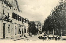 Salies De Béarn * Cours Du Jardin Public * Hôtel De Paris * Troupeau De Chèvres * Chevrier - Salies De Bearn