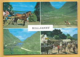 C.P.M. KILLARNEY - Kerry