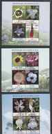 INDIA, 2013, FIRST DAY JABALPUR  CANCELLED, Wild Flowers Of India, Complete Set Of 3 Miniature Sheets, - Gebruikt