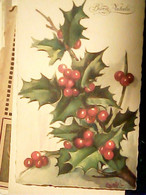 BUON NATALE  AGRIFOGLIO ILLUSTRATA CHIOSTRI   VB1930 HR10759 - Chiostri, Carlo