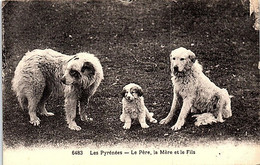 CHIENS - Les Pyrénées - Le Père, La Mère Et Le Fils - Hunde