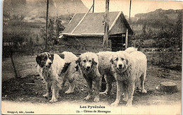 CHIENS - Les Pyrénées - Chiens De Montagne - Perros