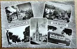 AIGREFEUILLE SUR MAINE CHATEAU DU PLESSIS MOULIN DE LA P ASSERELLE MAISON FAMILIALE MULTIVUES 1964 - Aigrefeuille-sur-Maine