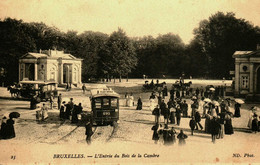 Belgique  /  Bruxelles  //  Exposition   /  Entrée Du Bois De La Cambre - Parks, Gärten