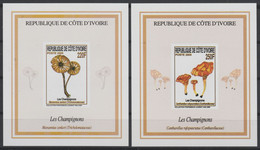 Côte D'Ivoire Ivory Coast Elfenbeinküste 2005 Mi. Bl. 180 - 181 Champignons Mushrooms Pilze MNH** - Côte D'Ivoire (1960-...)