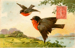 Catharina KLEIN * Illustrateur * éditeur Jounok N°233 * Oiseaux Rouge Gorge - Klein, Catharina