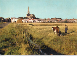 Bourgneuf-en-Retz Animée Belle Vue Du Village L'Eglise Vache - Bourgneuf-en-Retz