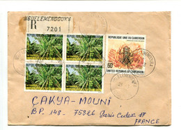 CAMEROUN Nguelemendouka 1981 - Affr. Sur Lettre Recommandée -  Bananes - Grenouille - Cameroon (1960-...)