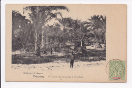 CP DAHOMEY Un Coin De Brousse à Ouidah - Dahomey