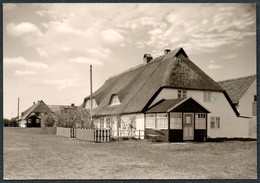 E0946 - TOP Neuendorf Hiddensee - Foto Hanich Handabzug - Hiddensee