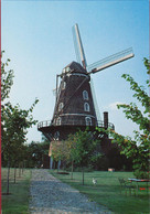 Sint-Pauwels Windmolen Roomanmolen Roomansmolen Sint Gillis Waas Waasland Moulin A Vent Windmill (In Zeer Goede Staat) - Sint-Gillis-Waas
