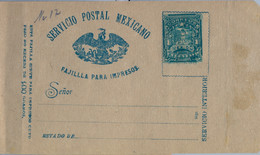 MÉXICO - FAJA POSTAL PARA IMPRESOS , NO CIRCULADA , UN CENTAVO , SERVICIO INTERIOR - México