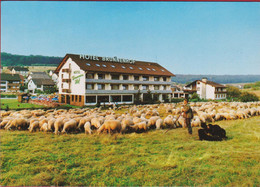Deutschland Bayern Weibersbrunn Spessart Hotel Brunnenhof Schaapherder Berger Shepherd - Andere & Zonder Classificatie
