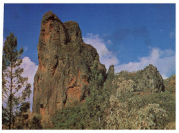 (O 22) Australia - NSW - Warrumbungle NP (written In 1973) - Port Macquarie