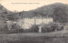 Chantonnay         85      Paysage A Touchegray   (voir Scan) - Chantonnay