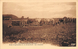 La Mothe Achard        85      Ecole D'Agriculture Les Semailles       (voir Scan) - La Mothe Achard