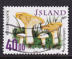 Iceland 2000, Mushroom, Minr 943 Vfu. - Gebraucht