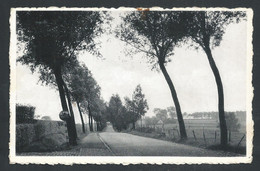 +++ CPA - QUAREMONT - KWAREMONT - Grande Chaussée - Nels Photothill  // - Kluisbergen