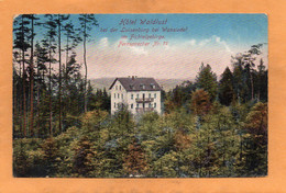 Hotel Waldlust Wunsiedel Germany 1920 Postcard - Wunsiedel