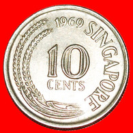 · SEAHORSE (1967-1985): SINGAPORE  10 CENTS 1969! LOW START NO RESERVE! - Singapour