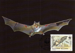 Bulgaria 1989 Maxicard Sc #3399 13s Horseshoe Bat WWF - Brieven En Documenten