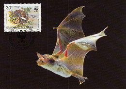 Bulgaria 1989 Maxicard Sc #3400 30s Large Mouse-eared Bat WWF - Storia Postale