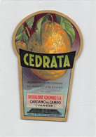 011151 "DISTILLERIE COLOMBO S.A. - CARDANO AL CAMPO - VARESE - CEDRARA" ETICHETTA - Fruits & Vegetables