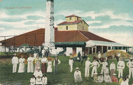 A Sugar Plantation Cuba  Sugar Mill. Sucre . - Cuba