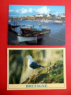 2 X Trévignon Hafen Fischerboote - Trégunc 1984 - Bretagne - Frankreich  - Möwe Seemöwe - Trégunc