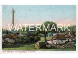 MARQUIS OF ANGLESEYS COLUMN OLD COLOUR POSTCARD WALES - Anglesey