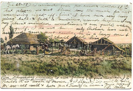 Delcampe - 143031 URUGUAY MONTEVIDEO RANCHOS DE CAMPAÑA SPOTTED CIRCULATED TO ARGENTINA POSTAL POSTCARD - Uruguay