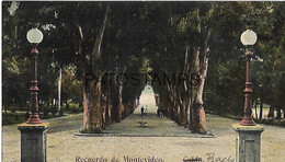 Delcampe - 143102 URUGUAY MONTEVIDEO VISTA DEL PARQUE POSTAL POSTCARD - Uruguay