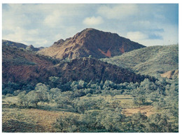 (P 3) Australia - SA - Arkaroola Mt Painter - Sonstige & Ohne Zuordnung