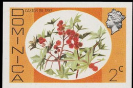 DOMINICA 1975 Castor Oil Tree Flower Food 2c IMPERF.medicine Laxative Food - Food