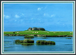 E0981 - TOP Motivkarte - Foto Richard Jessen - Westerwarft Auf Hallig Hooge - Halligen