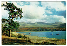Ref 1398 - Postcard - Loch Morlich & The Cairngorms Aviemore - Inverness-shire Scotland - Inverness-shire