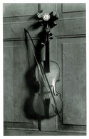 Ref 1399  - Photo Postcard - Violin In State Music Room Chatsworth House - Painted On Door - Derbyshire