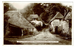 Ref 1399  - Photo Postcard - Cockington Forge Torquay Devon In 1860 - Used In 1954 - Torquay