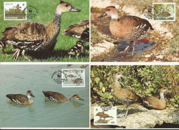 LOT 4 CARTES MAXIMUM  WWF  BAHAMAS Dendrocygne Des Antilles / WEST INDIAN WHISTLING DUCK. - Cartes-maximum