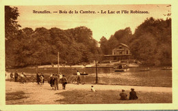 Belgique  /  Bruxelles  //  Bois De La Cambre  //  Le Lac Et L'ile Robinson - Squares