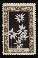Australia 1938 The Flannel Flower - NSW 150th Anniversary Cinderella MNH - Cinderelas