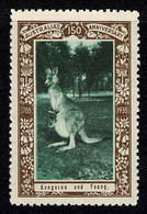 Australia 1938  Kangaroo & Young - NSW 150th Anniversary Cinderella MNH - Cinderelas