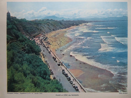 GRANDE PHOTO : CÔTE BASQUE : LES PLAGES- 1954- - Baskenland