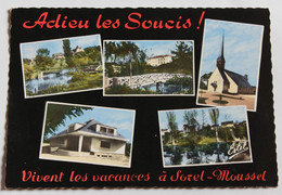 CPSM 28 Sorel Moussel Multivues Années 60 Adieu Les Soucis ! Vivent Les Vacances à Sorel Moussel - Sorel-Moussel