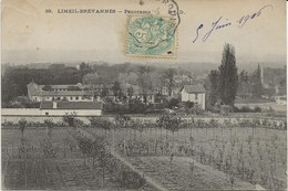 LIMEIL-BREVANNES - PANORAMA - ANNEE 1906 - Montaigu