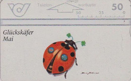 Télécarte L&G Autriche - ANIMAL - COCCINELLE  - LADYBIRD Austria Phonecard - MARIENKÄFER - 31 - Coccinelle
