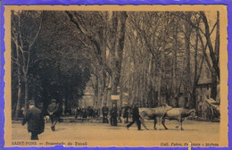 Carte Postale 34. Saint-Pons  Promenade Du Foirail  Très Beau Plan - Saint-Pons-de-Thomières