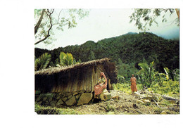 Cpm - Anjouan - Comores - Demeure Paysanne - 1975 - Edit Opticam 86 - Femme - Comoren