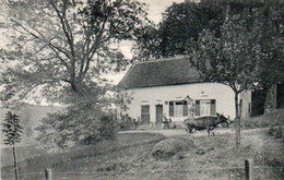 Parc De La Grande Espinette  Métairie De Lansrode Circulé En 1910 - St-Genesius-Rode